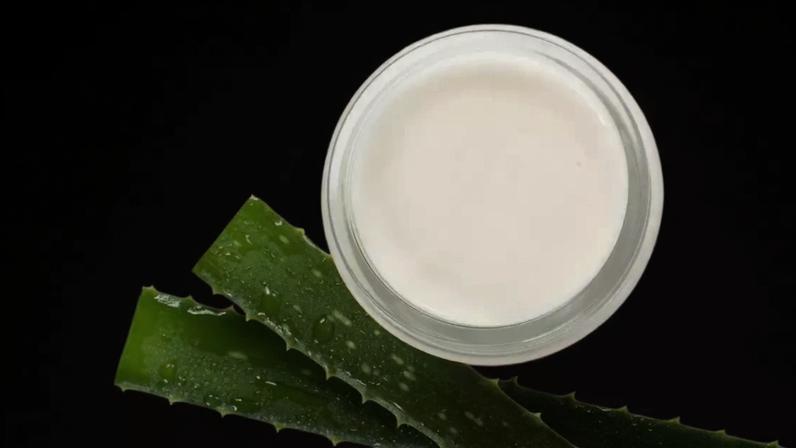 Babosa pode trazer benefícios à saúde e à estética