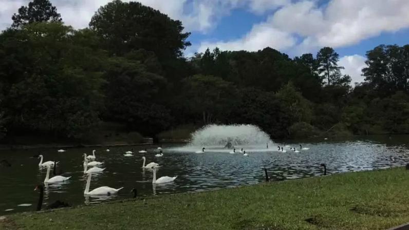 Parque Zoológico de Sapucaia do Sul/Divulgação / Porto Alegre 24 horas
