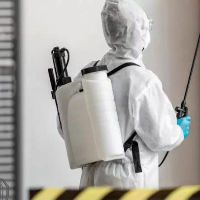 Comércios de SP devem fazer dedetização periódica.