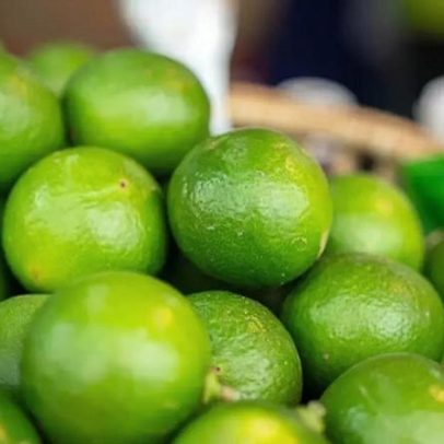 Sementes de limão: 4 jeitos de aproveitá-las em casa