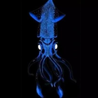 Iluminação urbana com microalgas e organismos bioluminescentes redefine cidades