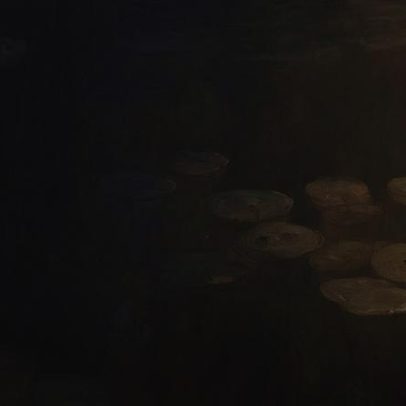 Mil comentários sobre imagem de IA apontavam erro; Monet era verdadeiro