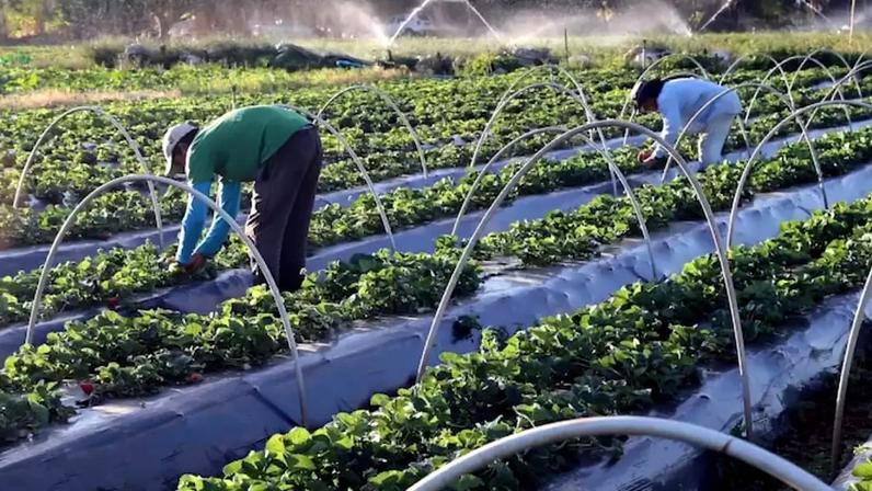 Governo quer priorizar medidas para acesso à tecnologia por pequenos produtores