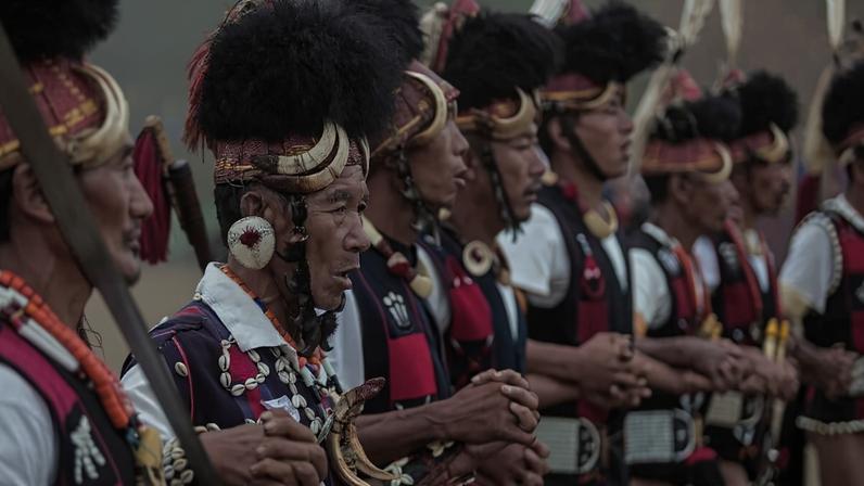 Nagaland: comunidades recorrem à lei indígena para proteger pangolins