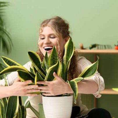 Falar com as plantas pode estimular o crescimento saudável, aponta estudo