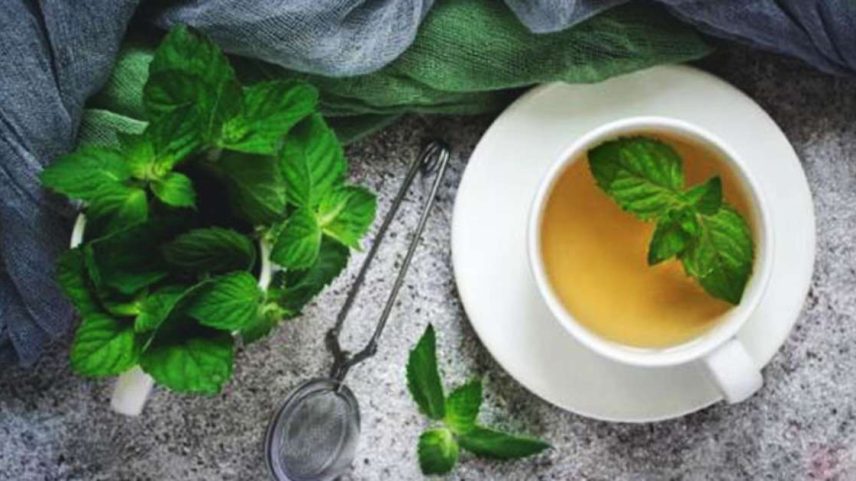 A hortelã é uma planta medicinal conhecida por suas propriedades benéficas à saúde. E que pode ser útil para as pessoas de várias formas.