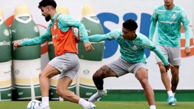 Palmeiras é líder do Grupo F da Libertadores –