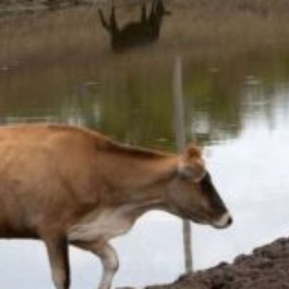 El Niño pode provocar seca no Nordeste e calor extremo em 2º semestre de 2026