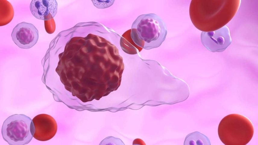 No nível molecular, proteínas localizadas na membrana celular, como integrinas e canais iônicos mecanossensíveis, funcionam como antenas – depositphotos.com / forfour