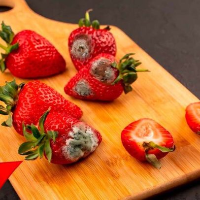 Comer morangos mofados pode causar mal-estar, explica especialista