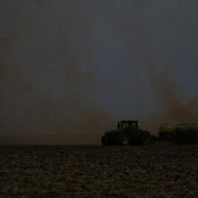 Desmatamento cai em 2025, porém Cerrado sofre mais