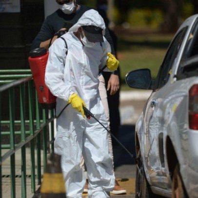 DF renova emergência zoossanitária para prevenir gripe aviária