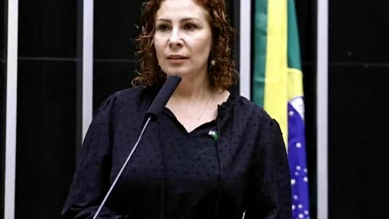 Carla Zambelli deixa prisão na Itália e comemora em vídeo... - (crédito: Vinicius Loures/Camara dos Deputados)