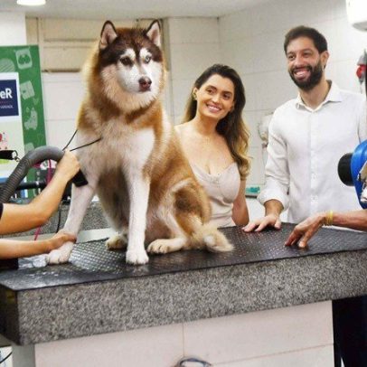 Mãe e filhos expandem pet shop para 11 lojas no DF