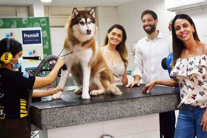 Viviane, com os filhos Priscila e Guilherme, à frente de empreendimento de sucesso, com 11 lojas e 90 funcionários. Cada um tem uma função na empresa - (crédito: Ed Alves/CB/D.A Press)
