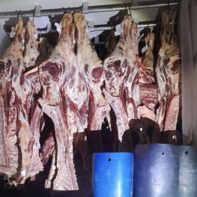 Receita do DF apreende 27 toneladas de carne sem nota fiscal