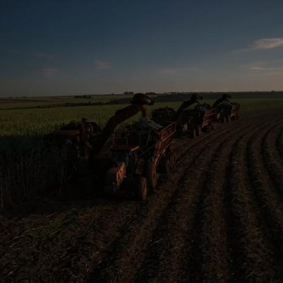 Brasil passa a sentir mudanças com acordo UE-Mercosul em vigor