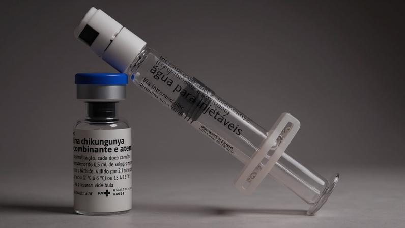 Vacina contra chikungunya do Butantan será mais barata para o SUS - (crédito: Instituto Butantan/Divulgação)
