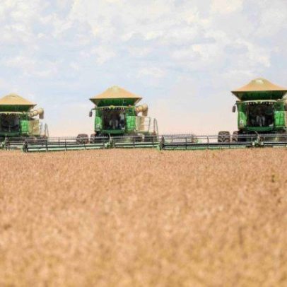 Agricultura que gera produção, mas não captura valor econômico