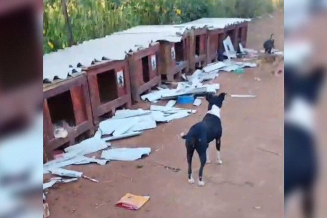 Vandalismo é investigado pela polícia - (crédito: Material cedido ao Correio)