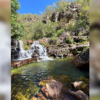 Criança de 8 anos é atacada por onça-parda na Chapada dos Veadeiros