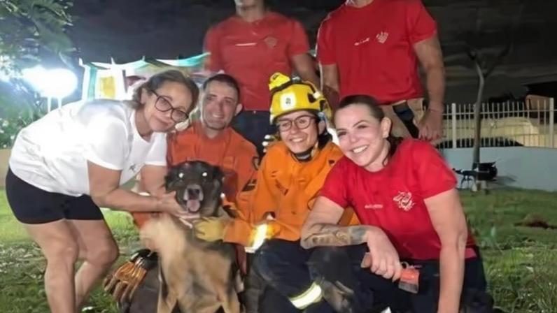 Cadela foi resgatada sem nenhum tipo de ferimento - (crédito: Divulgação/ CBMDF)
