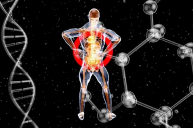 Representação do corpo humano e de rede de autoanticorpos - (crédito: Julien Tromeur/Pixabay)