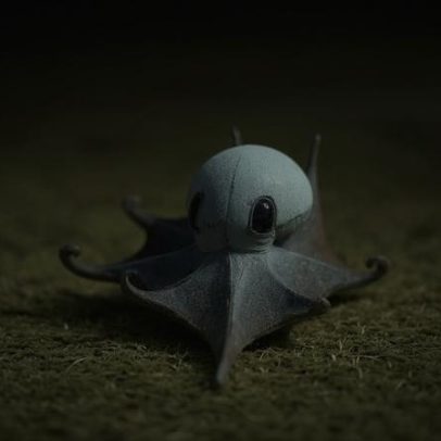 Cientistas descobrem nova espécie de polvo próximo às Galápagos