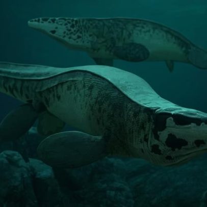 Cientistas descobrem o T. rex dos mares; confira os detalhes