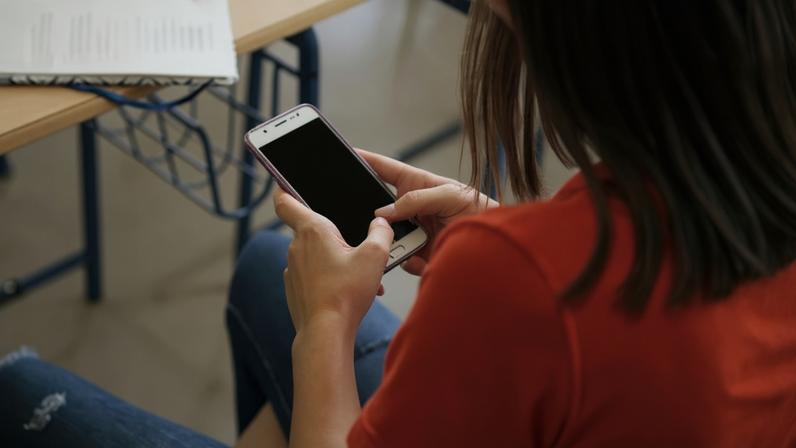 São cerca de 800 aulas organizadas em 6 níveis - (crédito: Reprodução/Freepik)