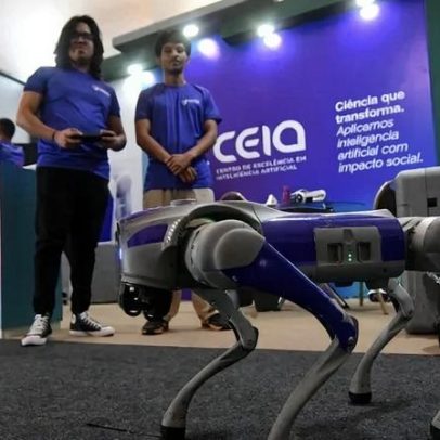 Cachorro-robô Caramelo controla pragas em lavouras