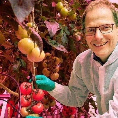 Países Baixos: terceiro maior exportador de alimentos, apesar do território