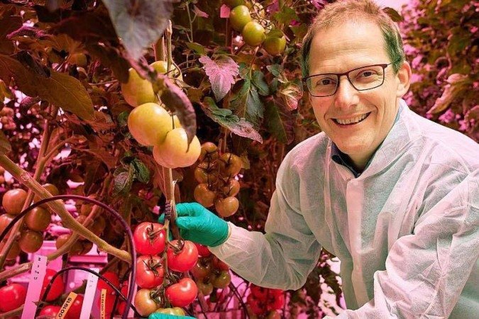 Estufas de alta tecnologia do país têm produtividade até cinco vezes maior que convencionais - (crédito: Wageningen University & Research)