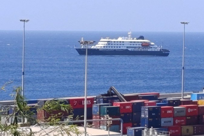 Os hantavírus que causam a Síndrome Pulmonar por Hantavírus (HPS) são transmitidos pelas fezes de roedores