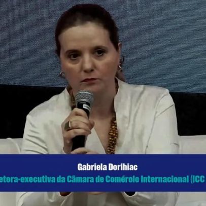 Diretora do ICC Brasil defende modernização regulatória para inovação