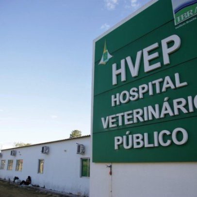 GDF abre consulta para ouvir sugestões sobre hospital veterinário