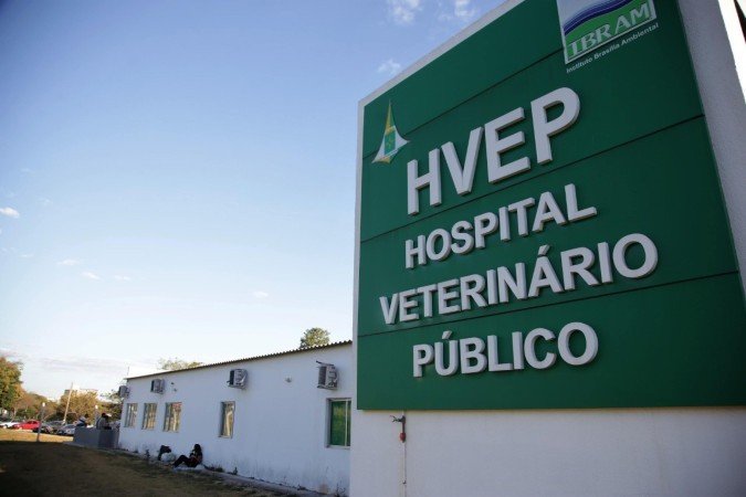 Sugestões vão subsidiar a construção de novo modelo de execução do Hvep - (crédito: Arquivo/Agência Brasília)