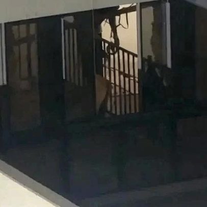 Moradores da Asa Norte denunciam obras de madrugada