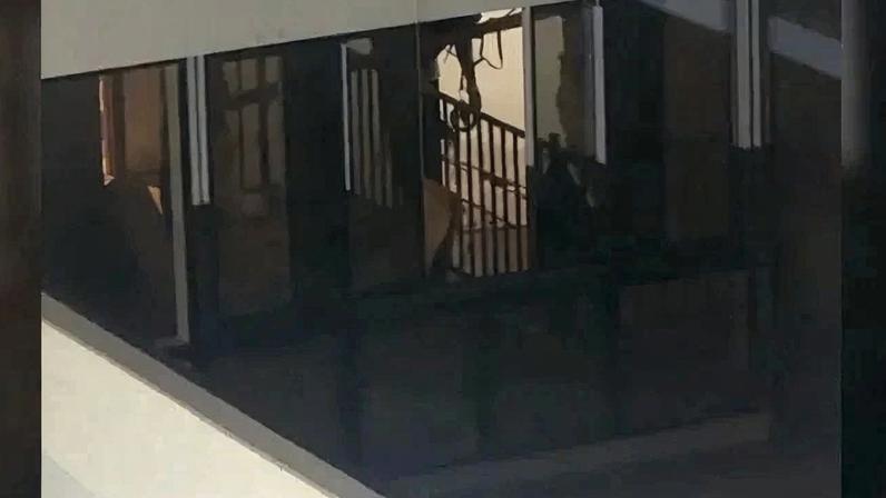 A situação ocorre em um prédio comercial próximo ao Condomínio Parque Norte Brasília - (crédito: Material cedido ao Correio)