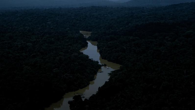 Parque Nacional do Jamanxim e da Área de Proteção Ambiental do Tapajós, ambos no Pará. - (crédito: Senado Federal)