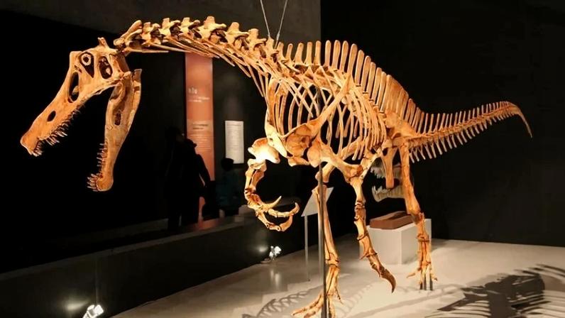 Um dos casos mais emblemáticos envolve o Irritator challengeri, dinossauro que viveu há cerca de 116 milhões de anos na região do sertão cearense. - (crédito: Flickr - Kabacchi)