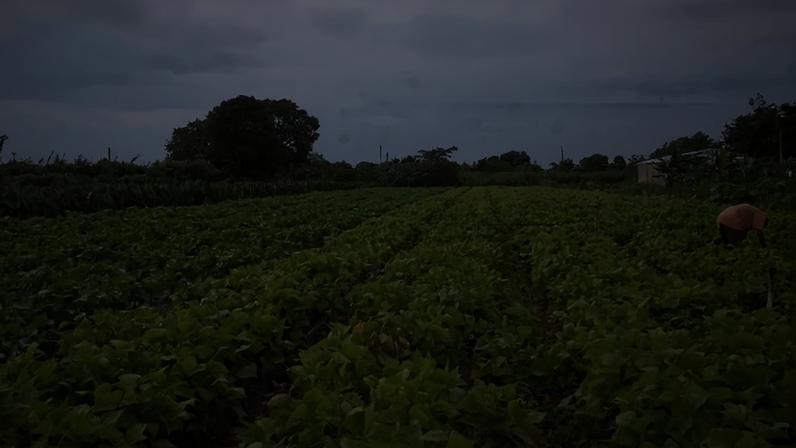 Projeto de Lei (PL) 5122: texto prevê 2 anos de carência, além de 10 anos para o pagamento - (crédito: Agência Brasil/Arquivo)