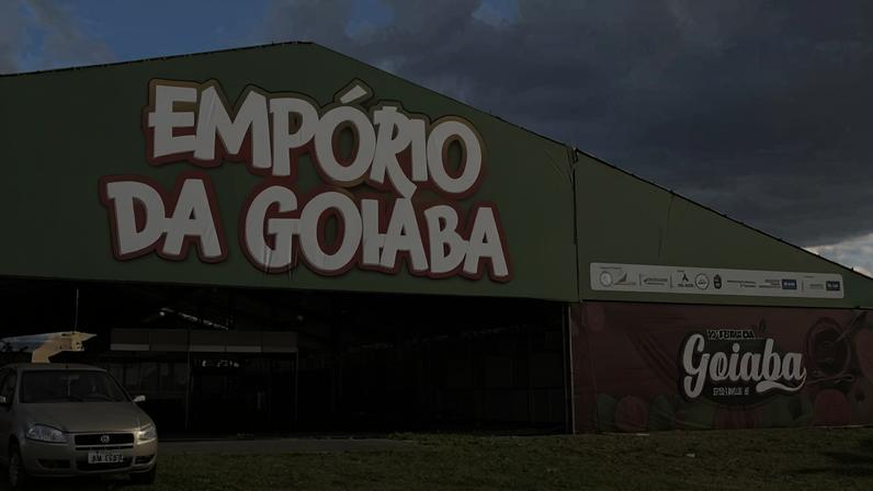 Em 2025, o DF produziu mais de 40 mil toneladas de frutas - (crédito: Minervino Júnior/CB/D.A.Press)