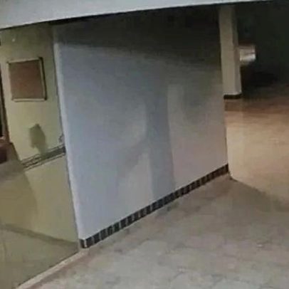 Invasor invade pela janela, rouba objetos e aborda moradora na 403 Sul