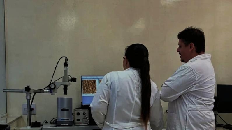 Os cientistas da Católica realizaram um experimento evolutivo in vitro - (crédito: Arquivo pessoal )