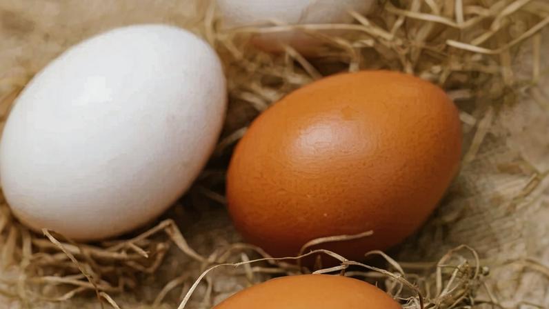 O que define a qualidade são os sistemas de criação e a nova classificação de peso do Ministério da Agricultura, que agora organiza os ovos de médio a jumbo. - (crédito: pexels,reprodução)