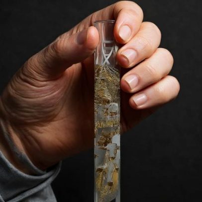 Embrapa Agroenergia completa 20 anos de ciência para a bioeconomia