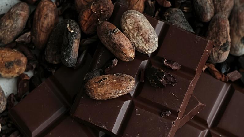 Além das exposições, o festival apresentará palestras focadas no futuro do plantio do cacau, assim como temas focados em sustentabilidade e inovação, com especialistas e autoridades do setor de produção do chocolate - (crédito: Tetiana Bykovets/Unsplash)