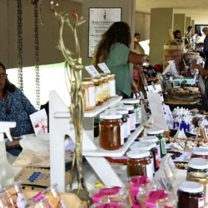 Feira Raízes do Entorno reúne 30 expositoras no Buriti