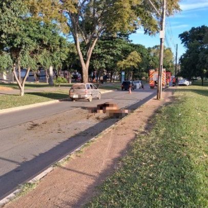 Cavalo morre atropelado por carro em Planaltina